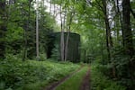 A large tank holds a reserve of drinking water in the woods near Cavendish.