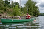 A woman with pink hair sitting in a green row boat with two dogs. She's dipping a fishing net into the river.