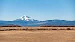 A dry field in Modoc Point Irrigation District with Mt. McLoughlin in the distance.