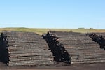 Charred logs being sprayed with water at the Kinzua Mill in Pilot Rock. The water deprives harmful fungi of the oxygen they need to grow, which keeps the logs from molding.