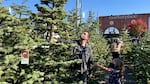 An adult and child choose a Christmas tree at an outdoor lot.