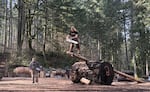 A student competes in an event called "Obstacle Pole," severing the end of an elevated log using a chainsaw on Feb. 27, 2026.