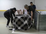 Cofounder of Animals Lebanon Jason Meier (right, with light hair) and other animal welfare staff move a crate carrying Sara the lion cub to load it into a vehicle, in Beirut, on Thursday.