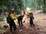 Firefighters dig a trench in a forested area.