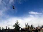A helicopter is used to fly logs from a staging area to streams that need restoration but are no longer reached by roads. This is the largest stream restoration effort ever in the Northwest.