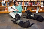 Jen DeFrances reads to her two therapy dogs in the David Douglas High School Library. DeFrances works as a librarian now, but taught the Class of 2025 in elementary school.