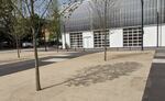 A plaza next to a building has some trees and benches.