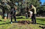 Clyde Waters (left) helps pile soil onto a newly planted tree in Nadaka Nature Park in Gresham on March 16, 2024. Waters lost his stepfather to the June 2021 heat wave in Oregon that killed dozens of people.