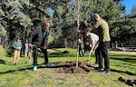 Clyde Waters (left) helps pile soil onto a newly planted tree in Nadaka Nature Park in Gresham on March 16, 2024. Waters lost his stepfather to the June 2021 heat wave in Oregon that killed dozens of people.