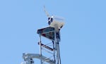A WhaleSpotter thermal camera has been installed on a tower in the middle of San Francisco Bay. It detects whale spouts using artificial intelligence, helping alert nearby vessels.