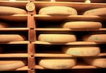 Comte cheese matures in a cellar.
