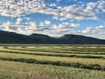 Mowed farmlands with mountains in the distance and white clouds in a blue sky.