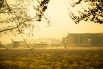 A downed power line runs to the charred husk of a building at the former site of the incident command center for the Beachie Creek Fire near Gates, Ore., Sept. 9, 2020.