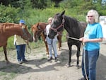 The area outside of Sequim, Washington, under consideration for a new reservoir is heavily used by locals. Jeff Becker, Donna Carpenter and Barbara Nelson enjoy trail riding there.