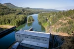 Lookout Point Dam blocks nearly 100% of historic spawning habitat for salmon on the Middle Fork Willamette River, which once had the most abundant salmon populations in the Willamette Valley. The Corps is currently drawing down the Lookout Point reservoir to aid salmon migration but proposes replacing that measure with a giant floating structure to collect fish. 