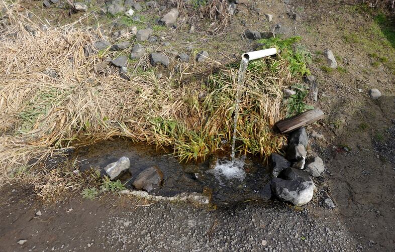 Groundwater naturally erupts from a pipe installed at Rattlesnake Springs on the Warm Springs Reservation, an important source of drinking water for many local residents. 