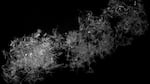 This 35.33 mm (1.39 inches) snowflake photographed in Stonybrook, NY in 2015 was the largest captured over multiple winters by researchers using a special camera designed to image falling snowflakes.