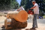 Chainsaw races are a staple at the Estacada Timber Festival. In these competitions, the winner is determined when the first block of wood hits the ground.