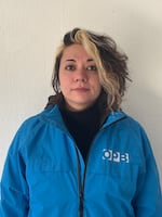 Canvasser, Gabby Veltre