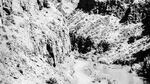 Picture Canyon, John Day Highway, circa early 1900s. Pioneer geologist Thomas Condon was the first to recognize the scientific significance of the John Day Fossil Beds in the 1860s.