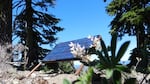 Solar panels power the backcountry recording equipment.