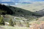 A narrow gravel road zig-zags travelers through the scenic bison range where buffalo roam freely on 18,000 acres of undeveloped land in northwest Montana.