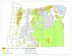 A map of soil types illustrates areas in orange that will be subject to new restrictions on commercial solar development.