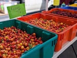 Rainier cherries for sale at a Seattle farmers market in June 2025.