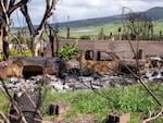 Over seven months after the fire, most properties that were burned in Lahaina are still covered with debris.