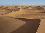 A painted lady butterfly crosses Erg Chigaga in Morocco. Each year, painted lady butterflies cross the Sahara and Arabian deserts, timing their migration to the brief bloom of wildflowers that follows seasonal rains.
