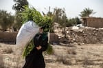 A woman carries freshly harvested grass for cattle as she walks in front of houses damaged by heavy fighting in the village of Baghouz in Syria's northern Deir Ezzor province, on March 24, 2021, where two years ago, the Islamic State Group (IS) made their last stand before being defeated.
