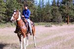 Avan Garcia and Blackhat get ready to chase wild horses on June 22, 2019. 