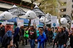Thousands marched in Downtown Portland on Saturday at the March For Science.