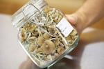 FILE - Gared Hansen shows psilocybin mushrooms that are ready for distribution in his Uptown Fungus lab in Springfield, Ore., Monday, Aug. 14, 2023.