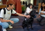 From left, Hinata Kujirai, Deniulcy Lopez Polino and Santi San Augustin pet Brea the service dog, 6, at Portland State University on Oct. 6, 2026.
