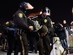 Police arrest a protester in Ferguson, Missouri, on November 25, 2014 during demonstrations a day after violent protests and looting following the grand jury decision in the fatal shooting of a 18-year-old black teenager Michael Brown. 