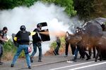 In this photo from August 2021, members of the far-right group Proud Boys and anti-fascist protesters spray bear mace at each other during clashes between the politically opposed groups in Portland, Ore.