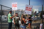 Several Oregon Trail Electric Cooperative employees are pictured Aug. 24, 2026, striking in La Grande, alleging unfair labor practices.