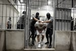 In this handout photo provided by the Salvadoran government, guards escort a newly admitted inmate inside a cell at CECOT on March 16, 2025 in Tecoluca, El Salvador.