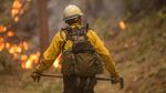 Firefighter on the line of Happy Dog Fire, part of the Umpqua North Complex, September 2017.