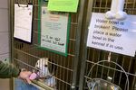 A pitbull in a kennel licks someone's hand