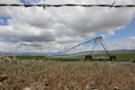 The hay grown in southeastern Oregon's Harney County feeds a global livestock market. But the industry relies on declining groundwater stores. 