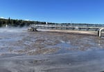 A clarifier pond removes solids from wastewater at the Port Townsend Paper Company mill in Port Townsend, Washington, on Oct. 25, 2025.