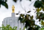Los defensores instan a los legisladores de Oregon a aprobar facturas para expandir los beneficios alimentarios para los niños inmigrantes