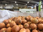 FILE - An undated photo of onions at storage facility in Hermiston, Ore.