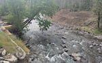 A view of Quartz Creek, where work is underway to clear the banks so that the water can spread out and meander.
