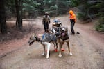 Nuckols, right, and Curley stop to give their dogs water mid-run.