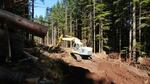 A crew builds a new road on a Weyerhaeuser Tree Farm near Molalla. States set construction, maintenance, and placement standards for new logging roads, to control water pollution.