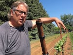 Kevin Chambers owns Koosah Vineyard in the Willamette Valley near Amity.