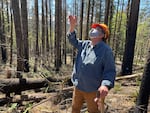 Man stands in forest looking and gesturing up at trees.